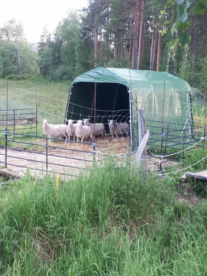 Skabram Bed & Breakfast Jokkmokk Bagian luar foto